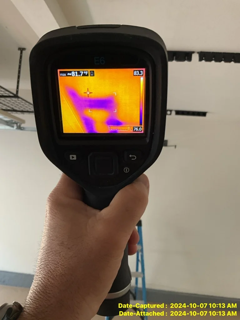 Professional leak detection services